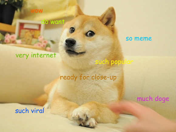 such-doge