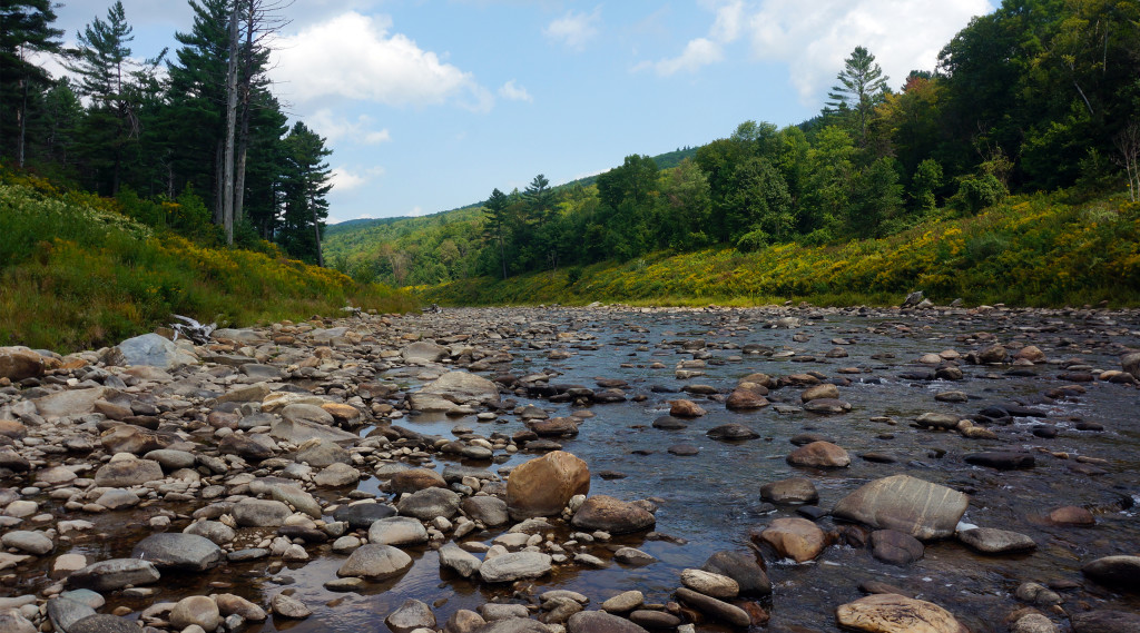 Week 9.5:  Taking Vermont In