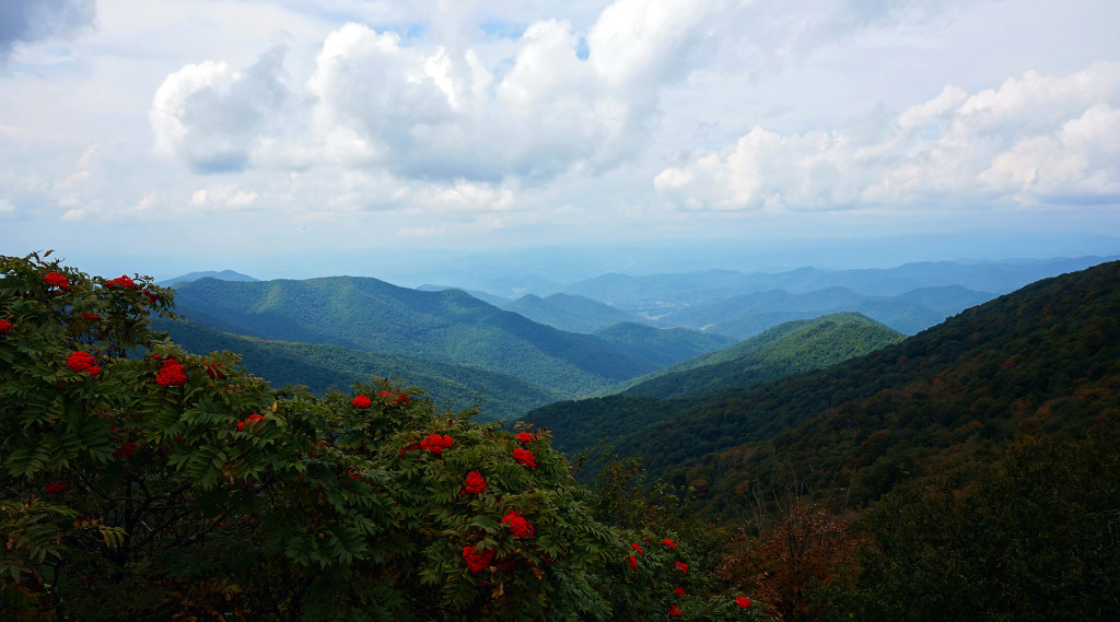 Week 12.5:   Drinking & Driving in Charlotte & Asheville... Respectively.