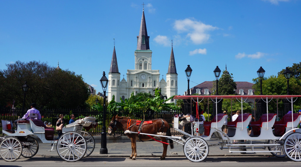 Week 14.5: New Orleans