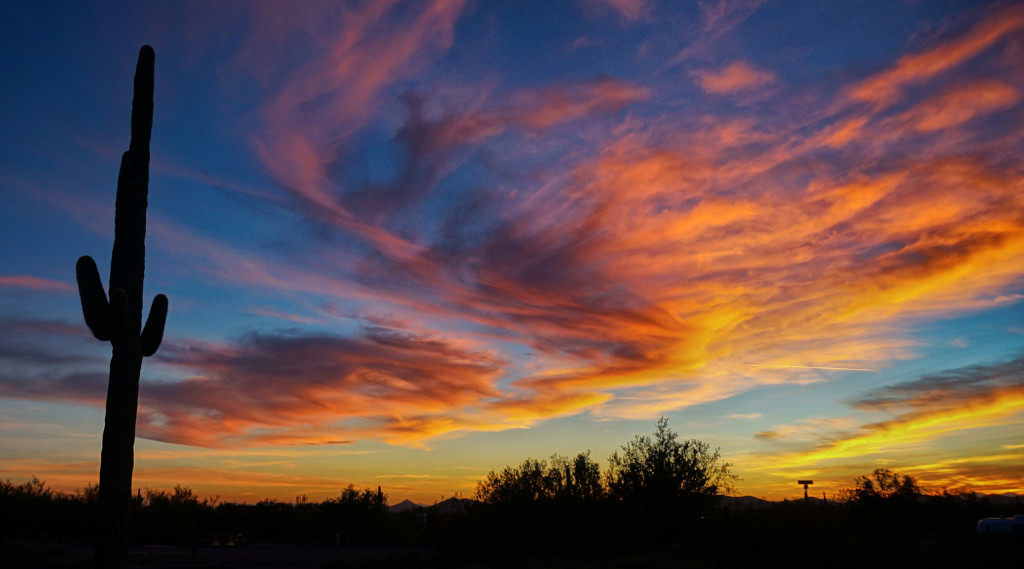 Week 24+ :  Driving Down and Climbing Up in Phoenix