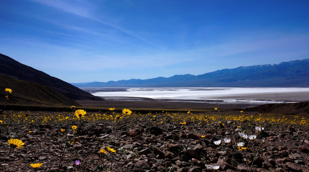 Week 35: Death Valley Is Incredible