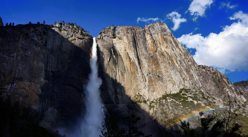 Week 39: Yosemite National Park