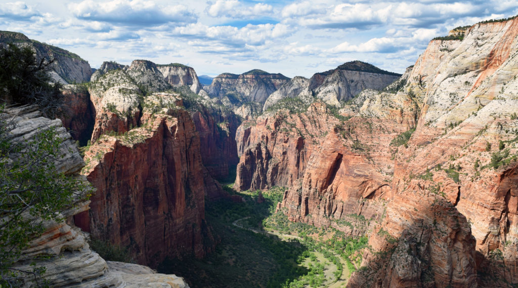 Week 47.2: Zion National Park