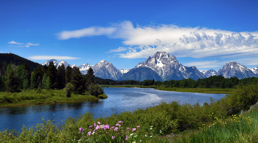 Week 52:  Grand Teton National Park