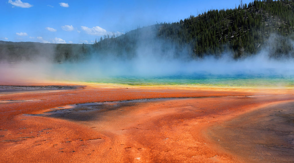 Week 53:  Yellowstone National Park